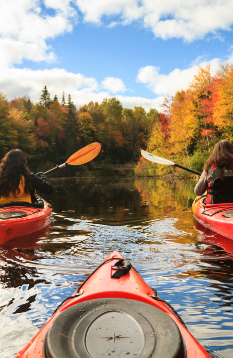 International Travel