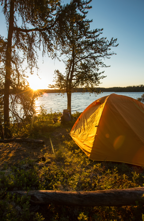 International Travel